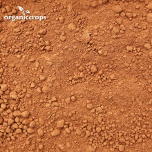 organic cacao powder 10/12 - product's photo