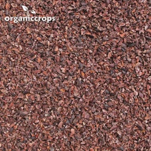 organic raw cacao nibs - product's photo