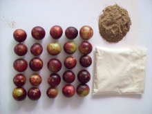 camu camu powder - product's photo