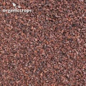 organic raw cacao nibs - product's photo