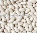 white kidney beans long shape - product's photo