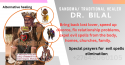love spells +27648060105 obsession spell caster in illovo, salt lake c - product's photo