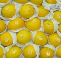 fresh yellow eureka lemons from south africa- best quality and price. - product's photo