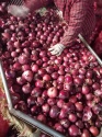 onions for sale - product's photo