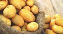 potato for sale  - product's photo