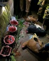 i need urgent death spell caster to kill ex lover  +2347069966756 - product's photo