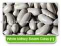 white kidney beans - product's photo