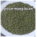 dried green mung bean from viet nam good packaging - product's photo