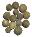 majuphal - product's photo