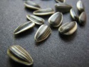 sunflower seeds - product's photo