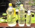 rapeseed oil - product's photo