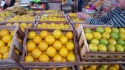 valencia oranges - product's photo