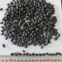 black kindey beans - product's photo