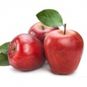 factory price fresh apple fruit fresh - product's photo